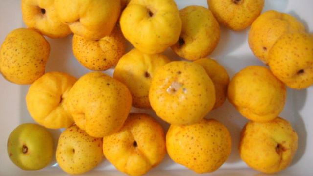 1000 и 1 рецепт