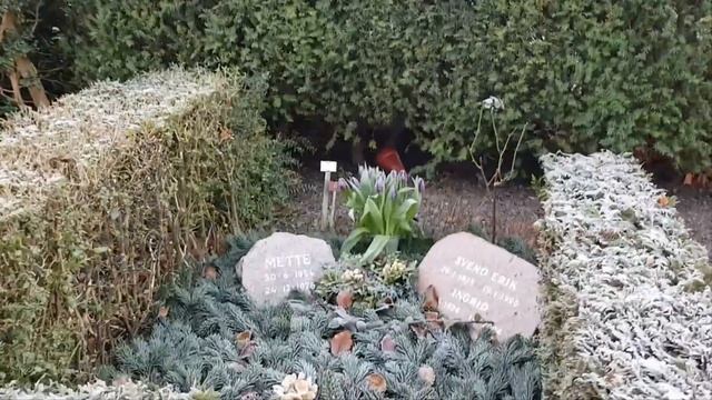 10 Самых Удивительных Кладбищ в Мире с Интересной Историей