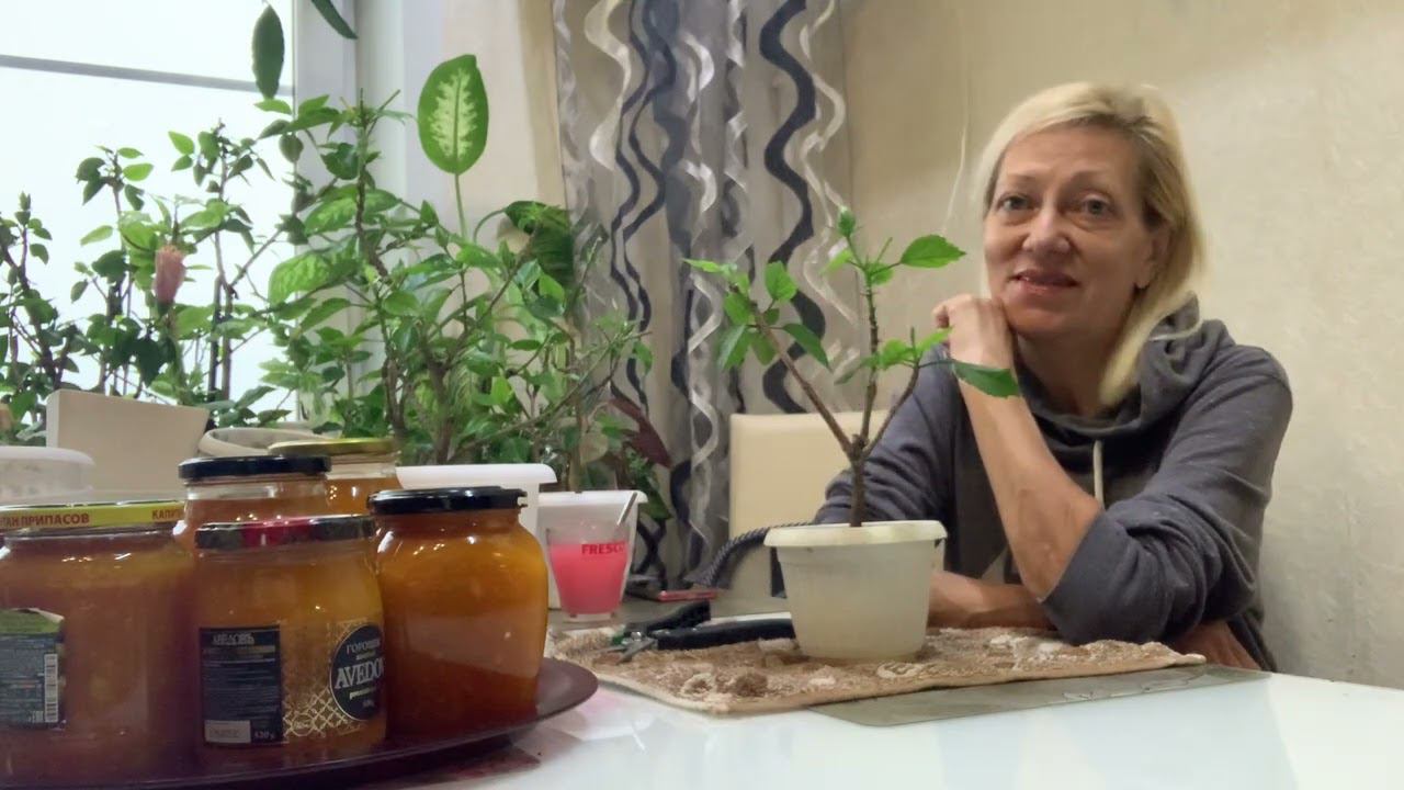 Ещё одно дело с плеч долой. Гибискусы. смотреть онлайн