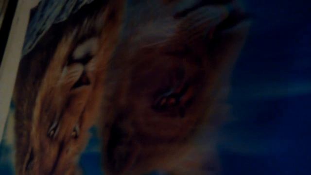 3D картина на стене)) смотреть онлайн