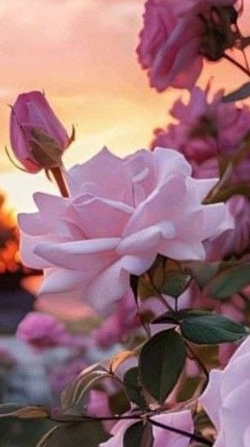 Византийское Трисвятое смотреть онлайн