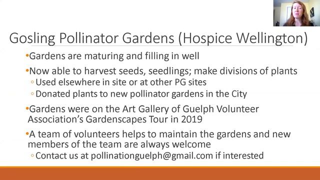 Pollination Guelph Updates from 2019 and Plans for 2020 смотреть онлайн