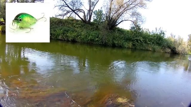 Не много размышлений на тему самый лучший воблер на голавля. Какой он? Топ 10 Воблеров на Голавля. смотреть онлайн
