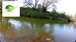 Не много размышлений на тему самый лучший воблер на голавля. Какой он? Топ 10 Воблеров на Голавля.