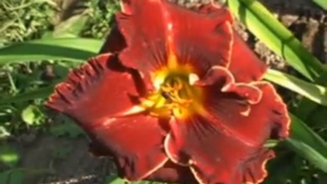 KAREN STEPHENS смотреть онлайн