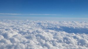 Свекр и Невестка: Сын завез свою жену к отцу на отпуск / Ого какой огромный / истории из жизни Ч1