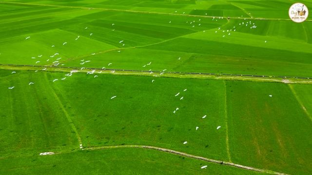 The Best Guitar Melodies To Nourish Your Soul And Heart смотреть онлайн