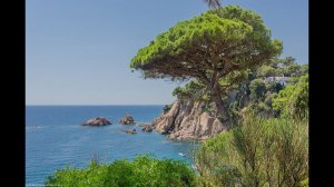 Субтропики в России. Приморский край