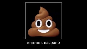 дима зачем нужен ершик