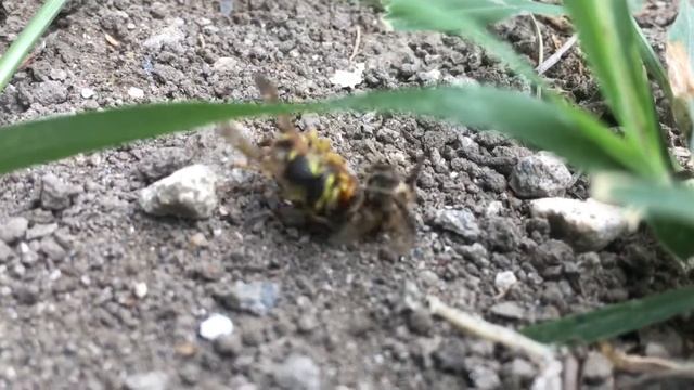 Потоки энергии