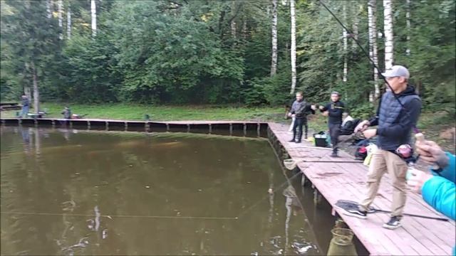 Кто куда, а "я" на "Крымский"! Удивительная рыба - форель! Поимки на спорт зоне.Клёвое место лосины смотреть онлайн