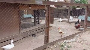Парк Отель Русский