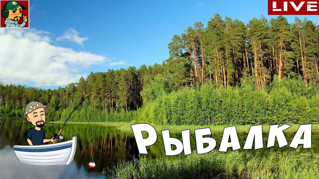 Дневник начинающего спиннингиста | Лодка + Пруд #GoProHero7Black