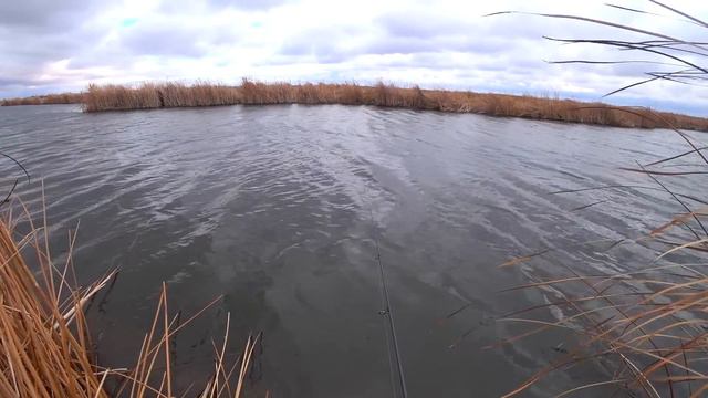 ОСЕННИЙ ЖОР ЩУКИ НА УЛЬТРАЛАЙТ! Спиннинг в БУБЛИК! ФРИКЦИОН ТРЕЩИТ! Рыбалка 2022. смотреть онлайн