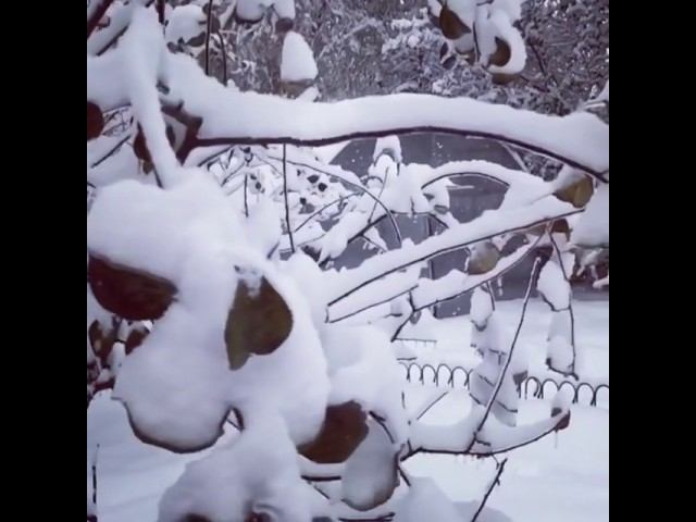 Прощай, зима