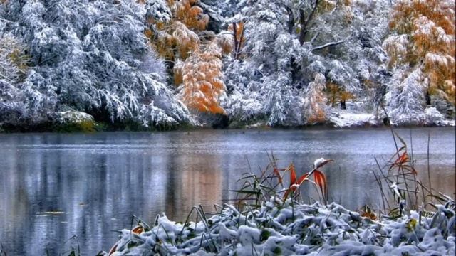 "Ты решила выгнать моего сына" - возмущалась свекровь. Но ответ невестки быстро привел её в чувства смотреть онлайн