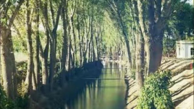 Только у любимой могут быть такие Необыкновенные глаза... смотреть онлайн