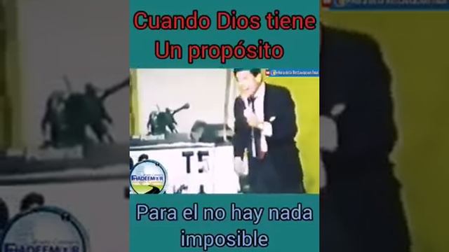 El Gorilon del Pastor. (para Dios no hay nada imposible) смотреть онлайн
