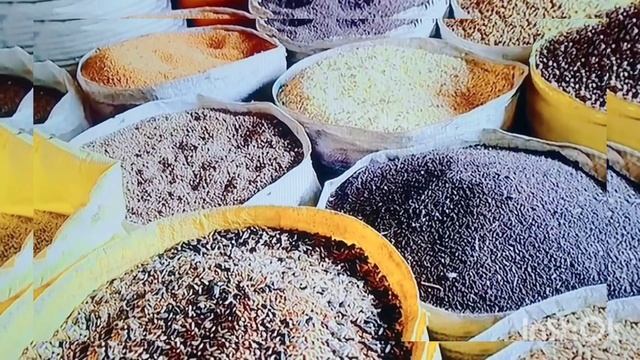 Java finch complete information #white java complete information #java sperrow #java bird смотреть онлайн