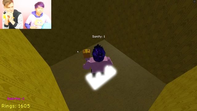 Can We Unlock MAX LEVEL SONIC In ROBLOX RAISE A SONIC!? (SECRET ENDING!) смотреть онлайн