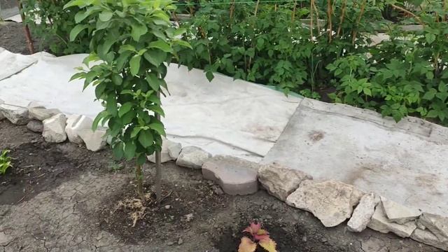 Дела дачные ... смотреть онлайн