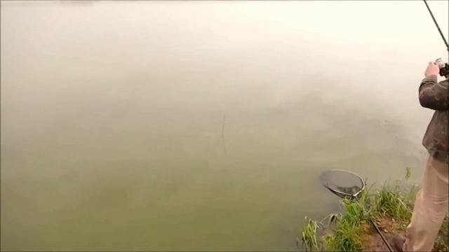 Платный водоем. Клинский рыбхоз. Московская область смотреть онлайн