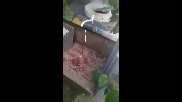 PRESS F КУРОЧКЕ 8K 60FPS🐔🐔🐔 смотреть онлайн