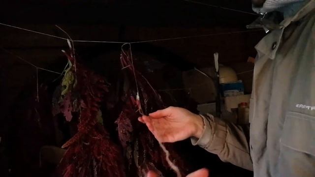 Строительные Перемены