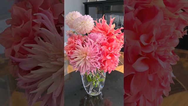 Dahlias from the garden to the vase смотреть онлайн