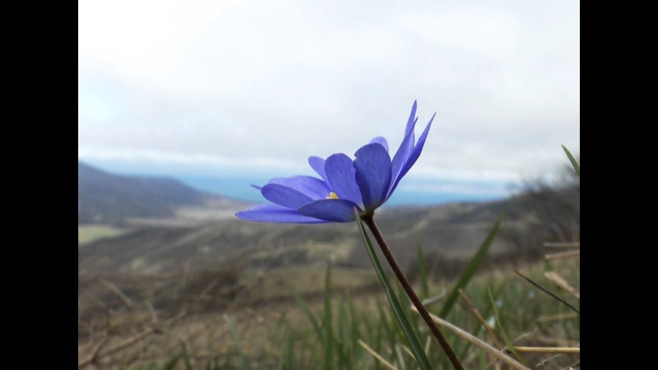 По горам Новороссийска до сафари парка Геленджика / beautiful places in Novorossiysk смотреть онлайн