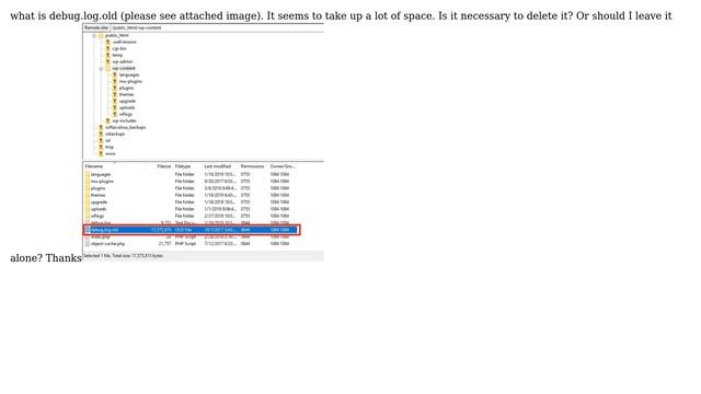 Wordpress: What is debug.log.old? It seems to take up a lot of space смотреть онлайн