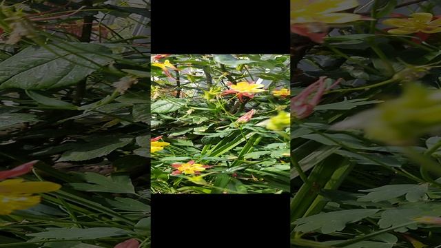 20230603_155810.mp4 смотреть онлайн