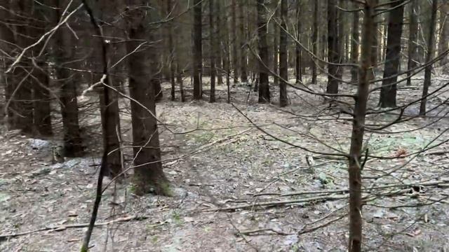 Грибные МОРОЗНЫЕ новости 18 ноября !