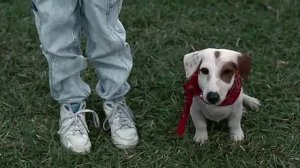 Трудный ребёнок 2   фрагмент с кормом 'Лопай попой'