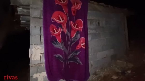 Merciless Thief: Revenge and Brave Response of Ruhollah and Nargis?