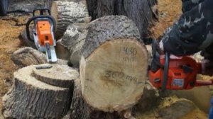 Бензопилы  Stihl MS260 vs Husqvarna 340e (сравнение на толстой твёрдой древесине)