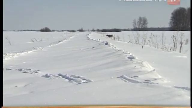 Лесные обитатели меняют прописку: кабаны, лоси и... смотреть онлайн