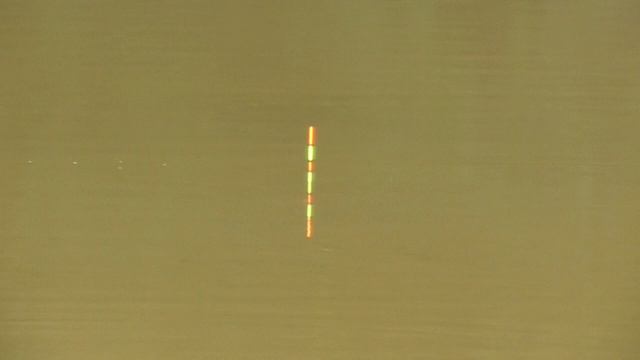 Ловим карася на поплавок (херабуна)..БАТЛ. смотреть онлайн