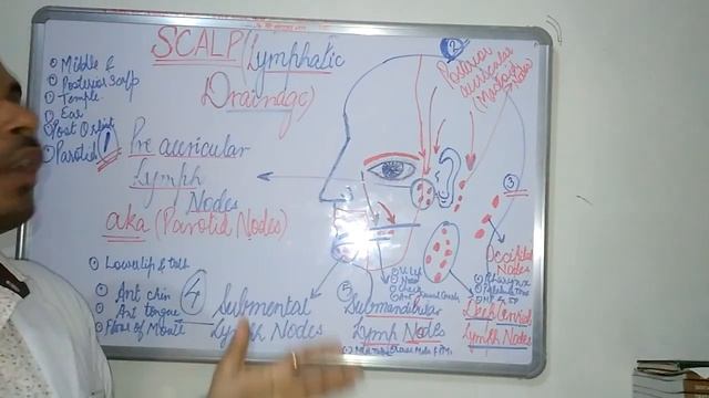 Lymphatic drainage of SCALP and Head and Neck Region смотреть онлайн