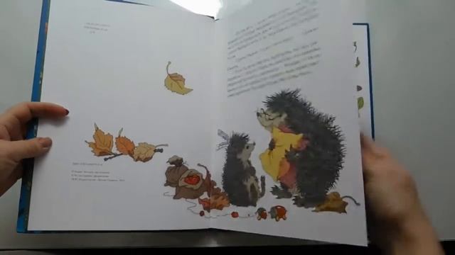 Борис Заходер: "Серая звёздочка", обзор детской книги смотреть онлайн