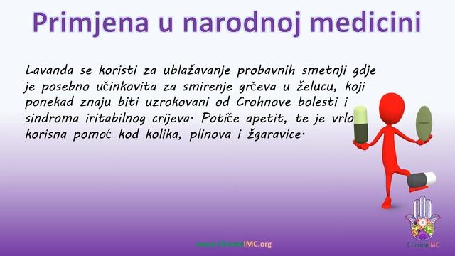 Lavanda (lat. Lavandula officinalis, eng. Lavender) смотреть онлайн