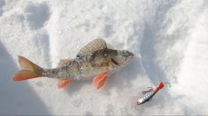 Турнир по зимней рыбалке. База отдыха "Рассвет", 30.03.2024