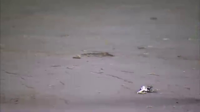 Ходячее бюро находок смотреть онлайн