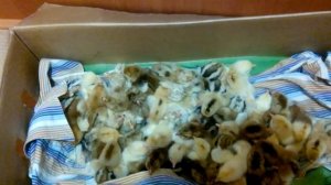 Ливенские ситцевые цыплята. Новый вывод!