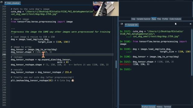 #Python | Visualize what ConvNets see! ? | #Convolutional #Tensorflow #DataVisualization смотреть онлайн