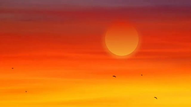 #Футаж птицы летят на закате в раю ◄4K•HD► #Footage birds fly at sunset in paradise 720p смотреть онлайн