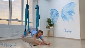 Fly Yoga  Нижний гамак 3