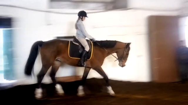 НЕДЕЛЯ КОНО-ВЛОГОВ#3: ЧТО С ПАЛЬЦЕМ???КРОВЬ|МАДАГАСКАР| смотреть онлайн