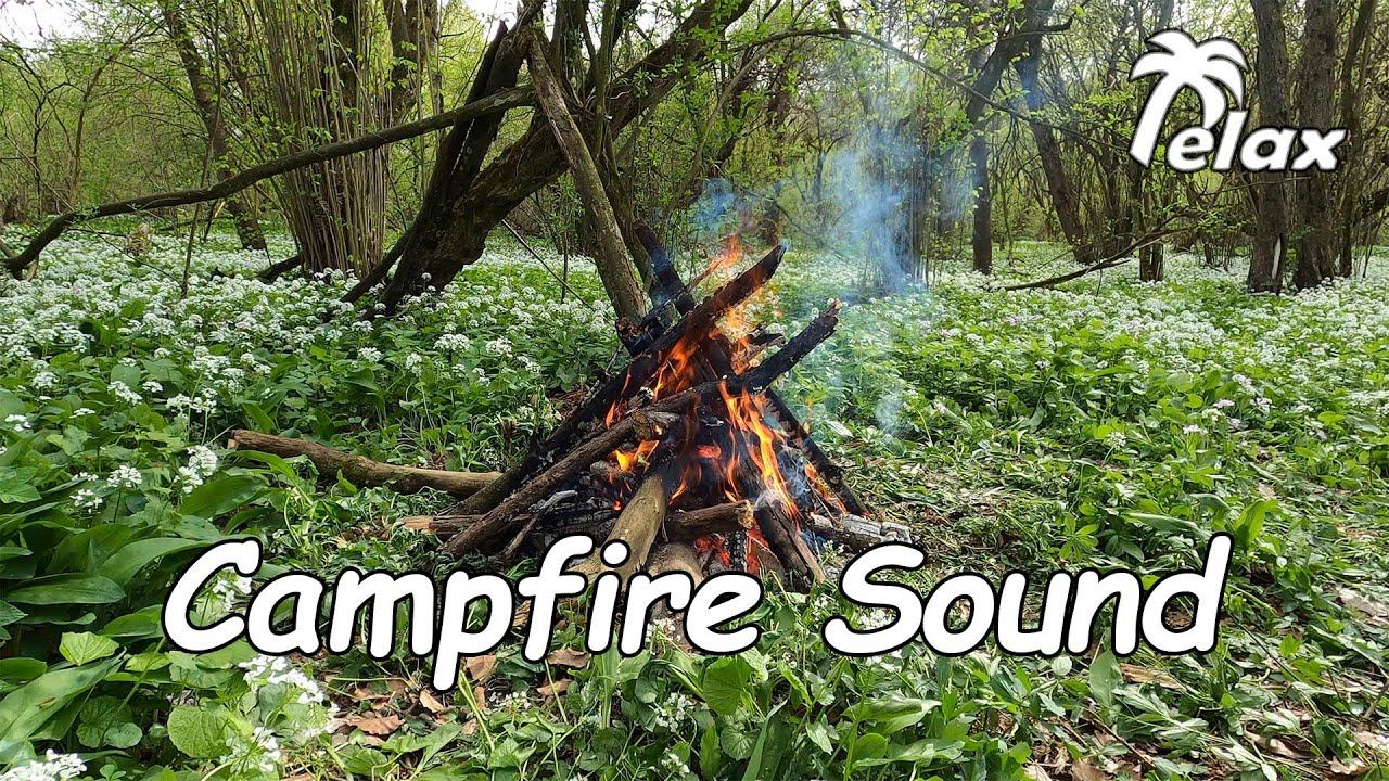 Campfire at the Spring Glade - Relaxation and Peace of Mind 3 hours смотреть онлайн