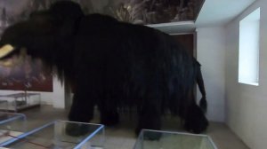 КОСТЕНКИ - археологический музей в Воронежской области! Древнейшая праРОДина человечества!